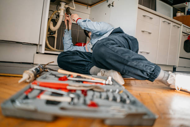 Best Leak Detection Services  in Herscher, IL