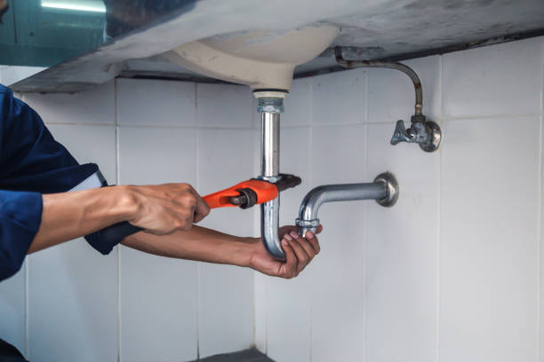 Best Emergency Plumber  in Herscher, IL