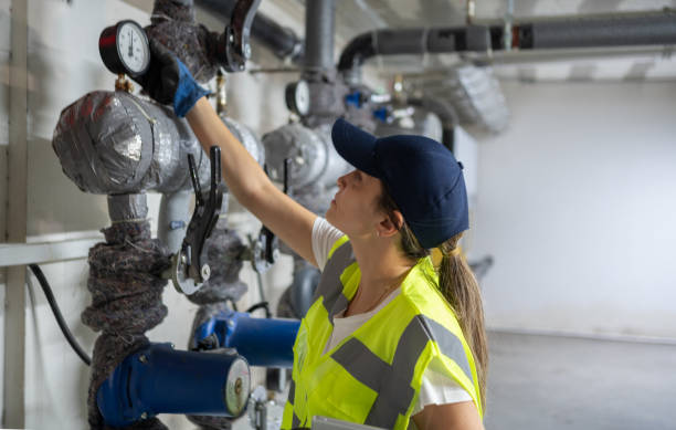Best Local Plumber Services  in Herscher, IL